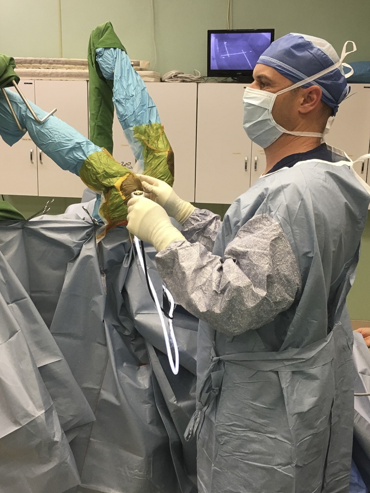 Dr. Ryan Carpenter performing horse surgery