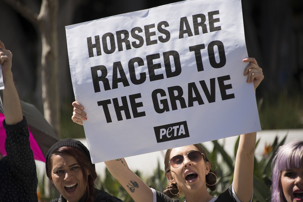 PETA protesters.