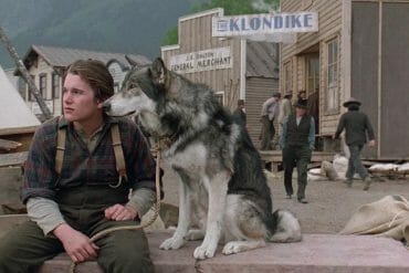 White Fang