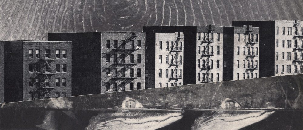 Collage of buildings and lizards beneath.