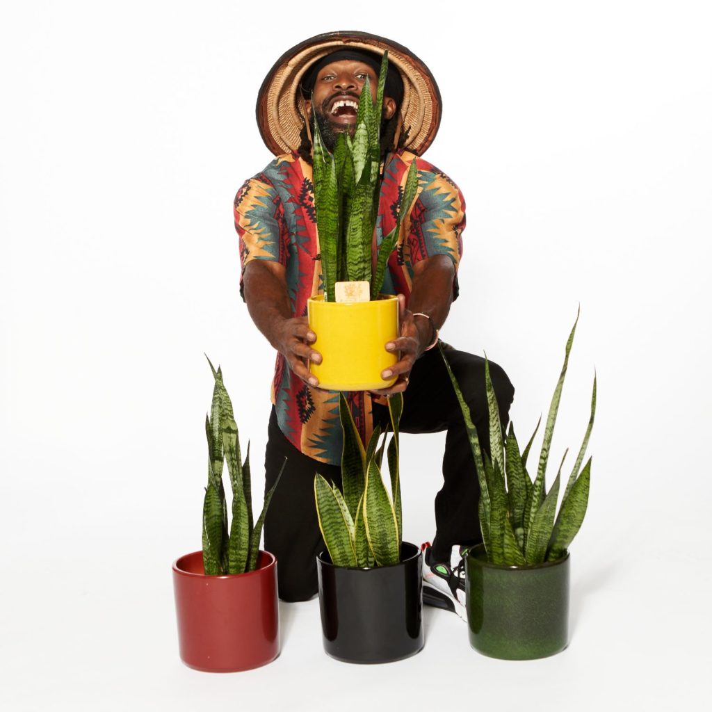 A man crouches on the floor next to three potted snake plants and holds a fourth plant outstretched to the viewer.